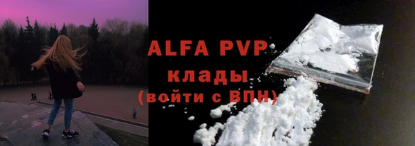молекула духа Богородск